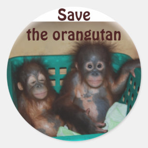 Adesivo Redondo Salve o Orangutan