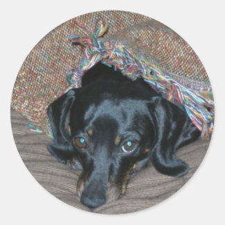 Adesivo Redondo Sammi sob o clima