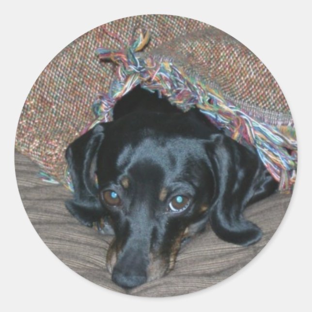 Adesivo Redondo Sammi sob o clima (Frente)