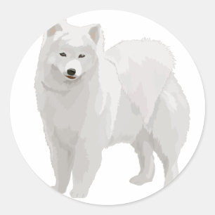 Adesivo Redondo Samoyed bonito