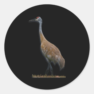 Adesivo Redondo Sandhill Crane