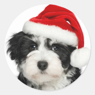 Adesivo Redondo Santa Cachorrinho