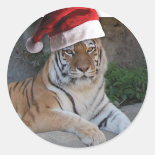 Adesivo Redondo Santa Hat Bengal Tiger