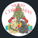 Adesivo Redondo Santas Helpers<br><div class="desc">Wheaten e Black Scottish Terrier têm ajudado a decorar a Árvore de Natal e a resolver os presentes! Venha visitar Maggie Ross Scotties Compro para ver isso e muitos mais designs sazonais criados do meu trabalho artístico original. Personalize se desejar, usando nossa ferramenta de texto fácil. Mude as cores de...</div>