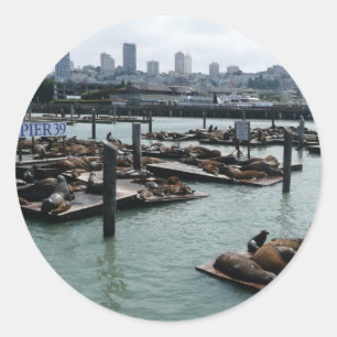 Adesivo Redondo São Francisco e Pier 39 Sea Lions City Skyline