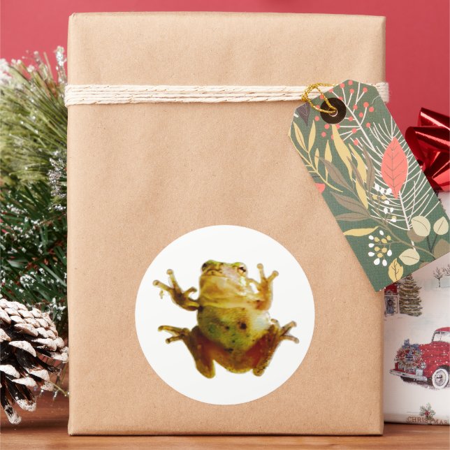 Adesivo Redondo Sapo engraçado, Froggie Toad 4Fred (Feriado)