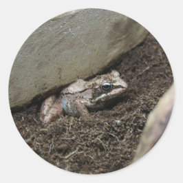 Adesivo Redondo Sapo sujo