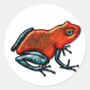 Adesivo Redondo Sapo vermelho e verde do dardo do veneno