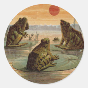 Adesivo Redondo Sapos Lily Pads Ilustração da Lua