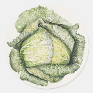 Adesivo Redondo Savoy Cabbage