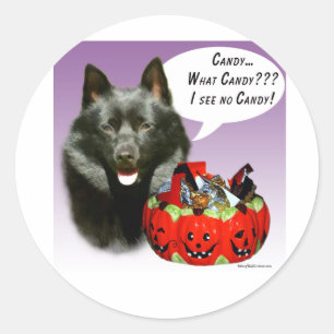 Adesivo Redondo Schipperke Halloween Candy