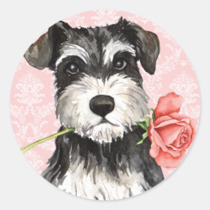 Adesivo Redondo Schnauzer do rosa dos namorados mini