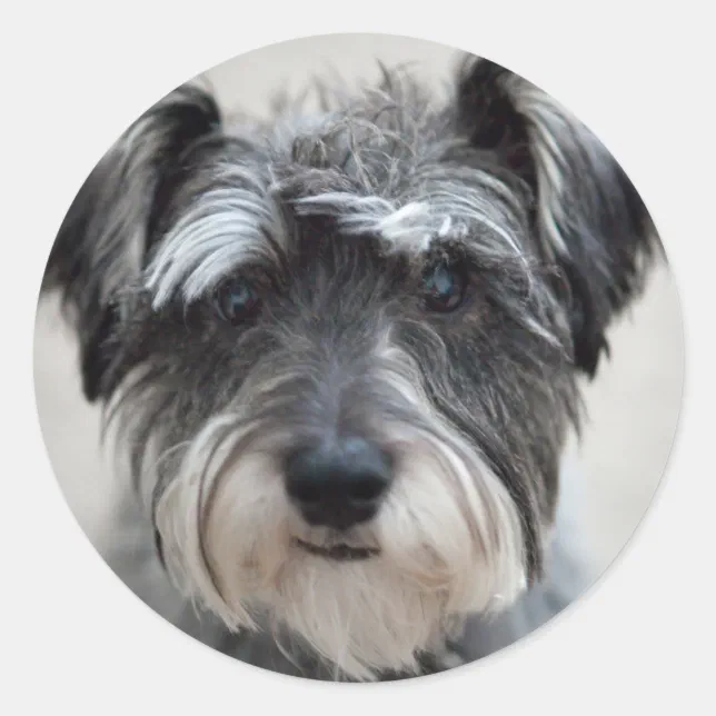 Adesivo per auto West Highland White Terrier, 15 cm (5,9 pollici) West Highland White Terrier 3D strappato, riflettente per animali domestici, cane, divertente decorazione personalizzata