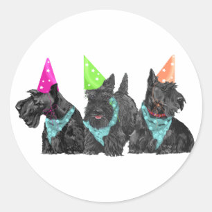 Adesivo Redondo Scotties de celebração em chapéus de festa