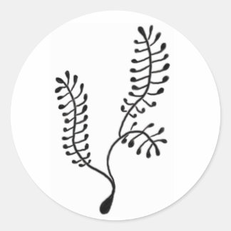 Adesivo Redondo Sea Fern Sticker