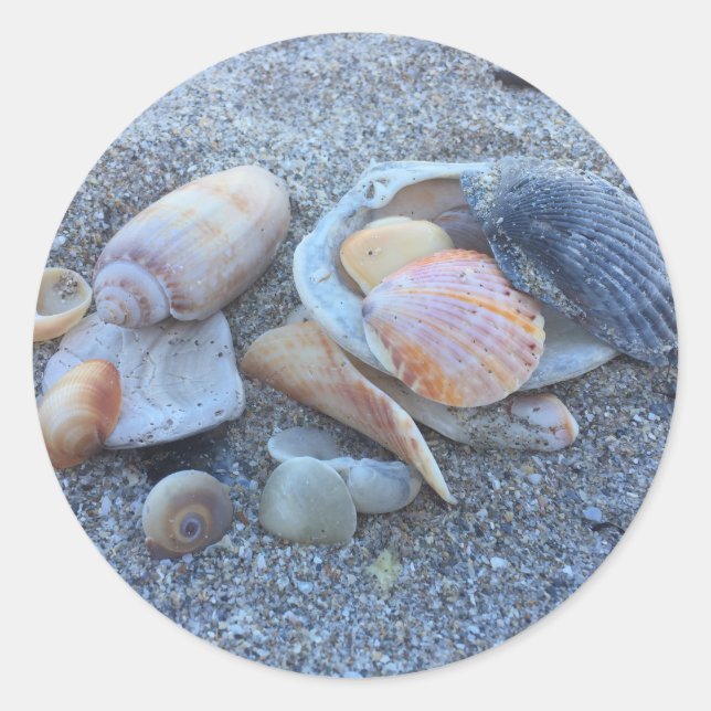 Adesivo Redondo Sea Shells Paradise Beach (Frente)