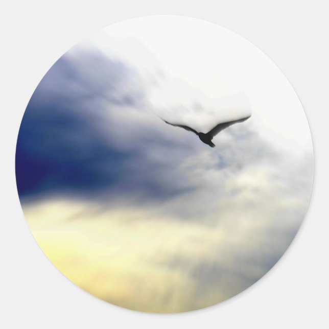 Adesivo Redondo Seagull (Frente)