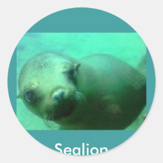 Adesivo Redondo Sealion