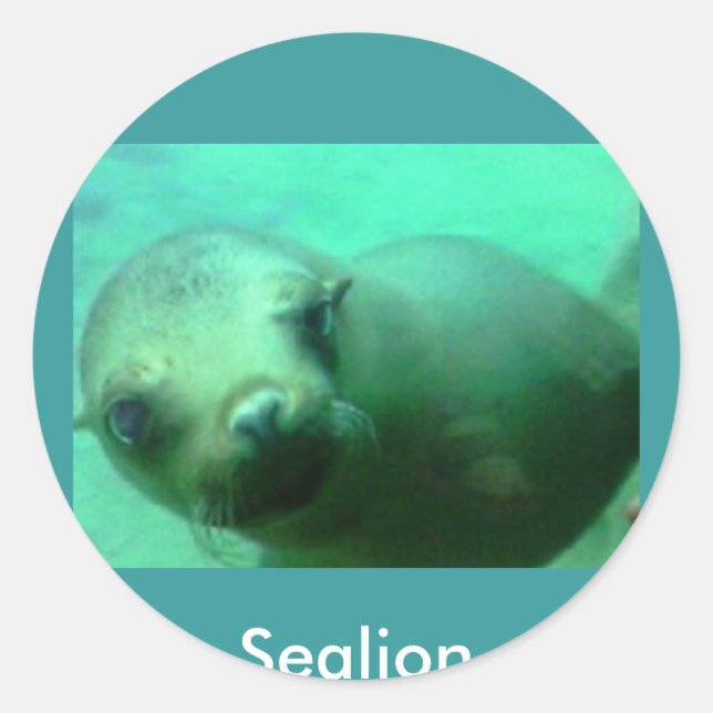 Adesivo Redondo Sealion (Frente)