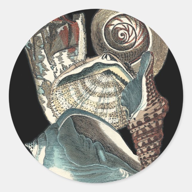 Adesivo Redondo Seashell Anthology (Frente)