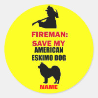Segurança contra incêndio no cão esquimó americano