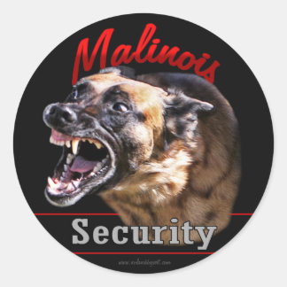 Adesivo Redondo Segurança Malinois