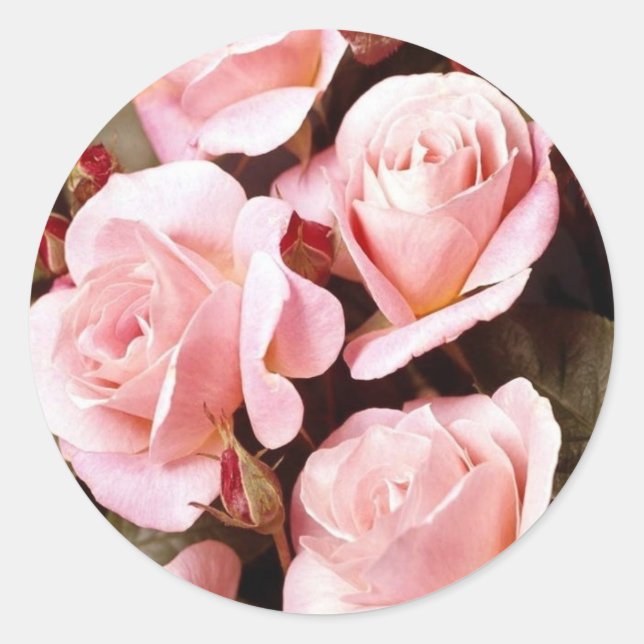 Adesivo Redondo Selagens de envelopes (Frente)