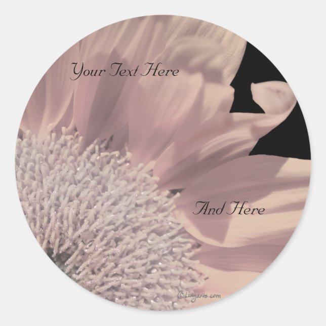 Adesivo Redondo Selagens de Envelopes Personalizados de Gerbera Ro (Frente)