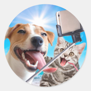 Adesivo Redondo Selfie fotografada de cão e gato no telefone