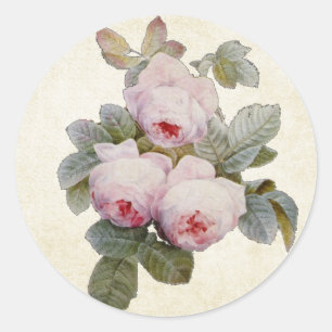 Adesivo Redondo Selo cor-de-rosa do envelope de Bourbon do vintage