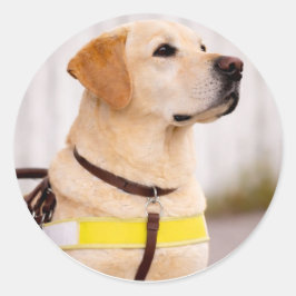 Adesivo Redondo Selo de Envelope de Formatura de Cão Guia Labrador