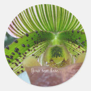 Adesivo Redondo Selo de Envelope de Orquídea Verde