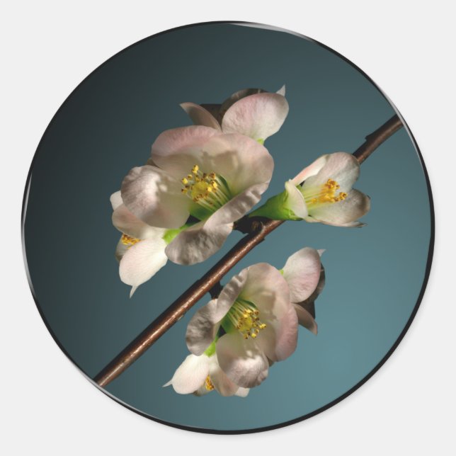 Adesivo Redondo Selo de Envelope Flor de Árvore (Frente)