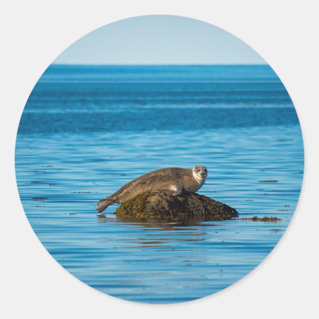 Adesivo Redondo Selo do Porto Atlântico (Frente)