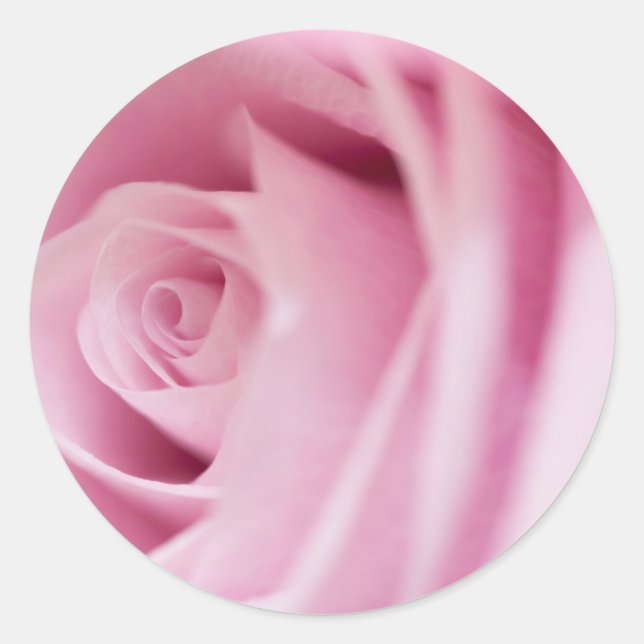 Adesivo Redondo Selo e palitos de Envelope Rosa Rosa Rosa Rosa Ros (Frente)