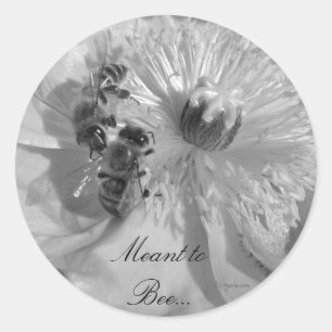 Adesivo Redondo Selos De Convite Para Casamento De Flores Brancas
