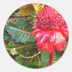 Adesivo Redondo Selos de Envelope de Casamento de Ginger de Tocha 