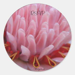 Adesivo Redondo Selos de Envelope de Casamento de Tocha Rosa