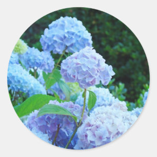 Adesivo Redondo Selos de envelope de casamento Flores de Hortênsia