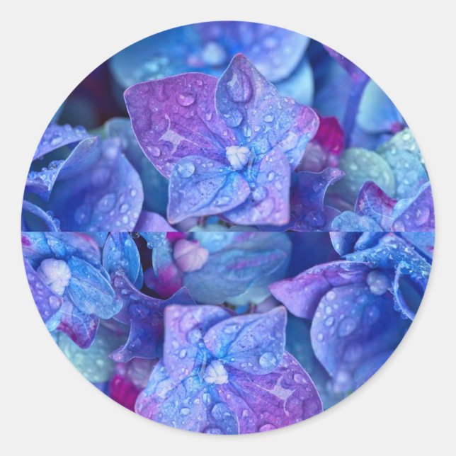 Adesivo Redondo selos de envelope Hydrangea (Frente)