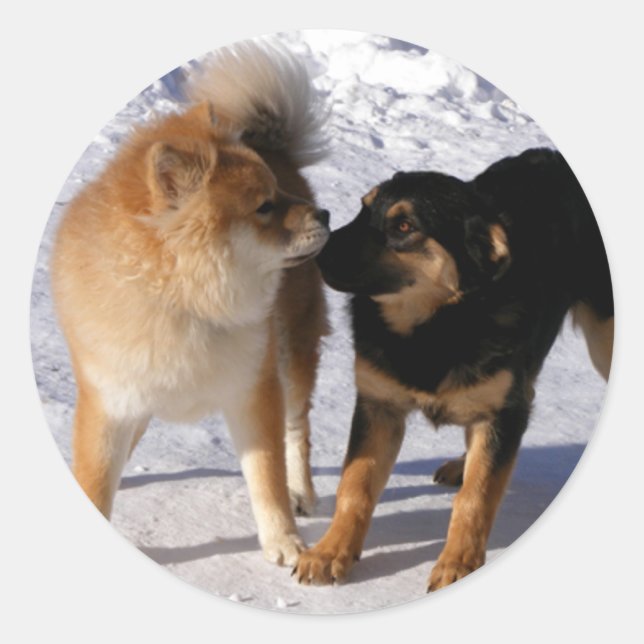 Adesivo Redondo Selos de Envelope Puppy play (Frente)