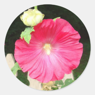Adesivo Redondo Selos do Hollyhock