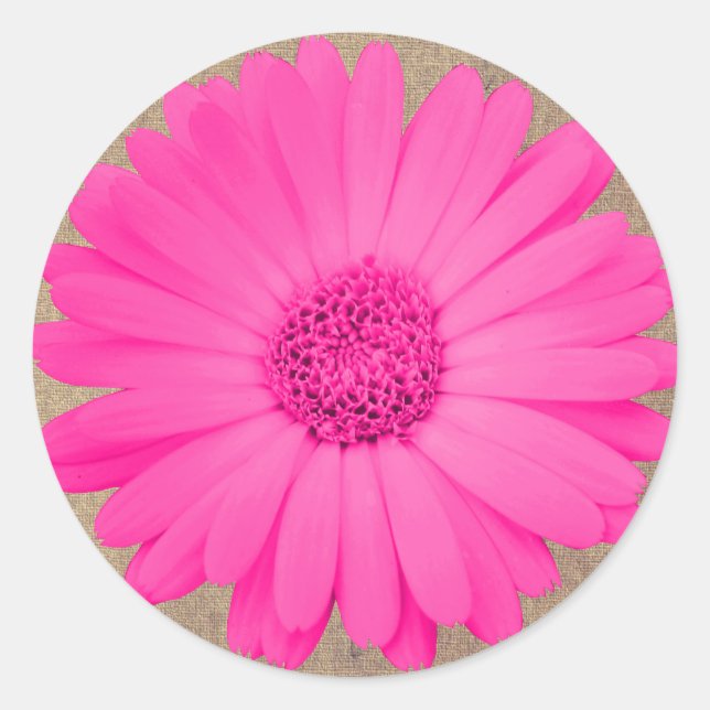 Adesivo Redondo Selos Rustic Hot Pink Gerber Daisy Round Stickers (Frente)