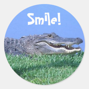 Adesivo Redondo Selva de Joias