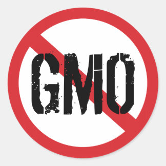 Adesivo Redondo Sem OGM Alimento Geneticamente Modificado