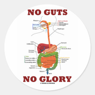 Adesivo Redondo Sem Tripas Sem Glória (Humor com Anatomia do Siste
