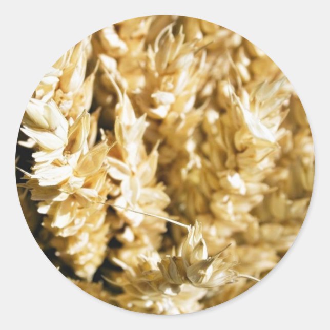 Adesivo Redondo Sementes De Planta De Grãos (Frente)