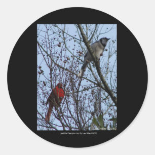 Adesivo Redondo Sentinelas Blue Jay e Cardinal por Lee Hiller