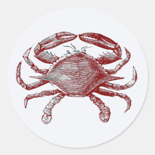 Adesivo Redondo Sentir Caranguejo Vermelho Lápis Oceano Arte Caran