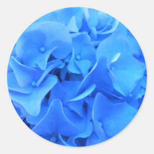 Adesivo Redondo Seraphine